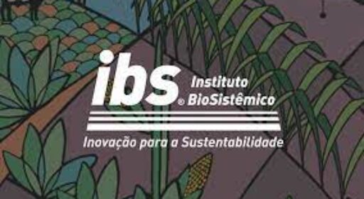 Produtor do Programa 3S da Cargill agora conta com aplicativo no celular