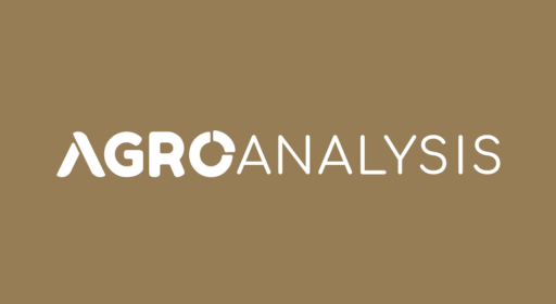 Fazenda Roncador possui saldo positivo na captura de carbono – Revista Agro Analysis