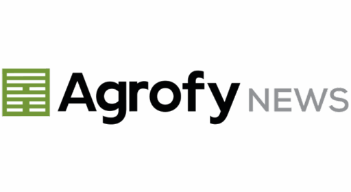 O “Santo Graal” da agricultura regenerativa e seus limites