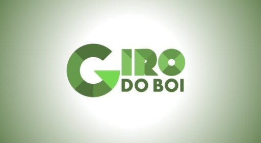 Fazenda de cria de SP eleva lucro por hectare em 30 vezes: qual o segredo?